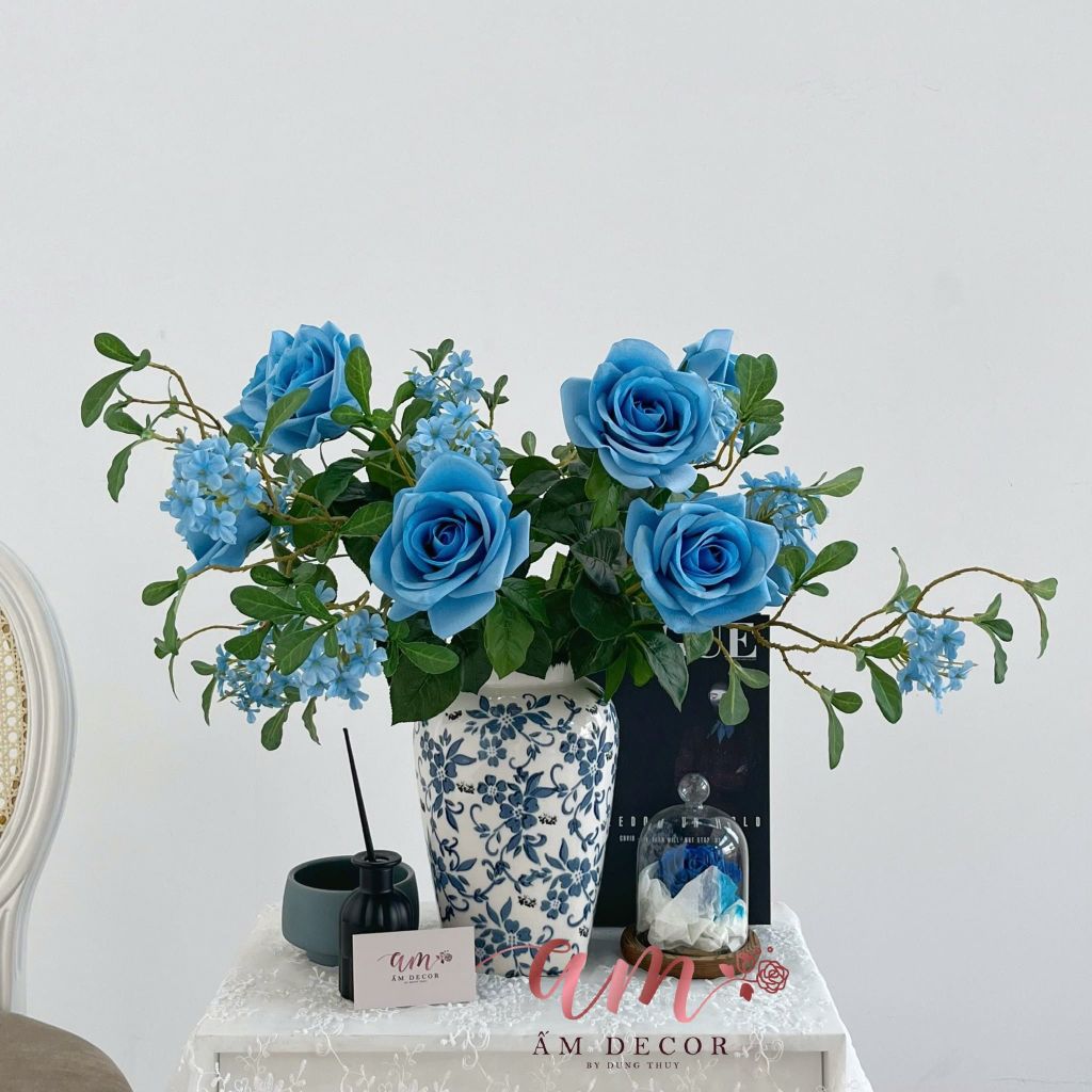 ZBÌNH HOA COROLLIA ROSELLA