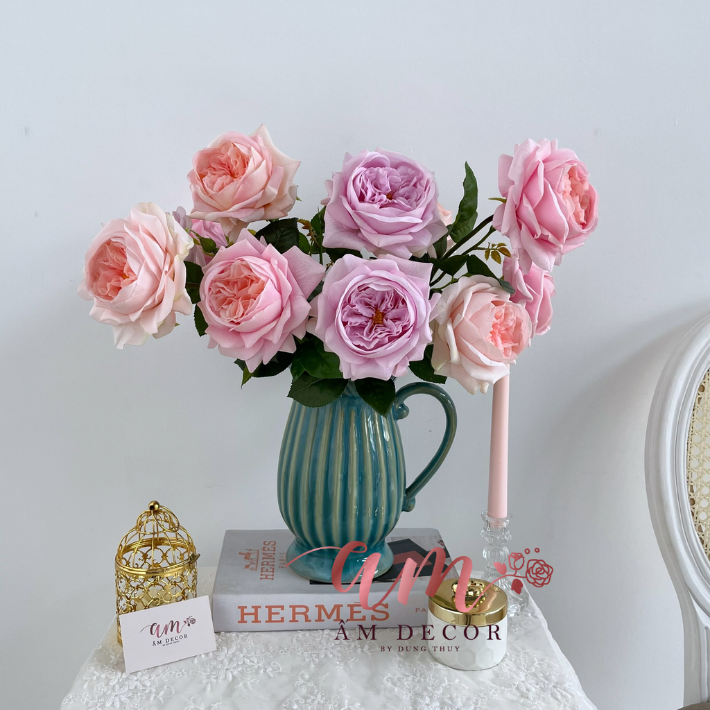 ZBÌNH HOA ROSELLA AUSTIN RETRO