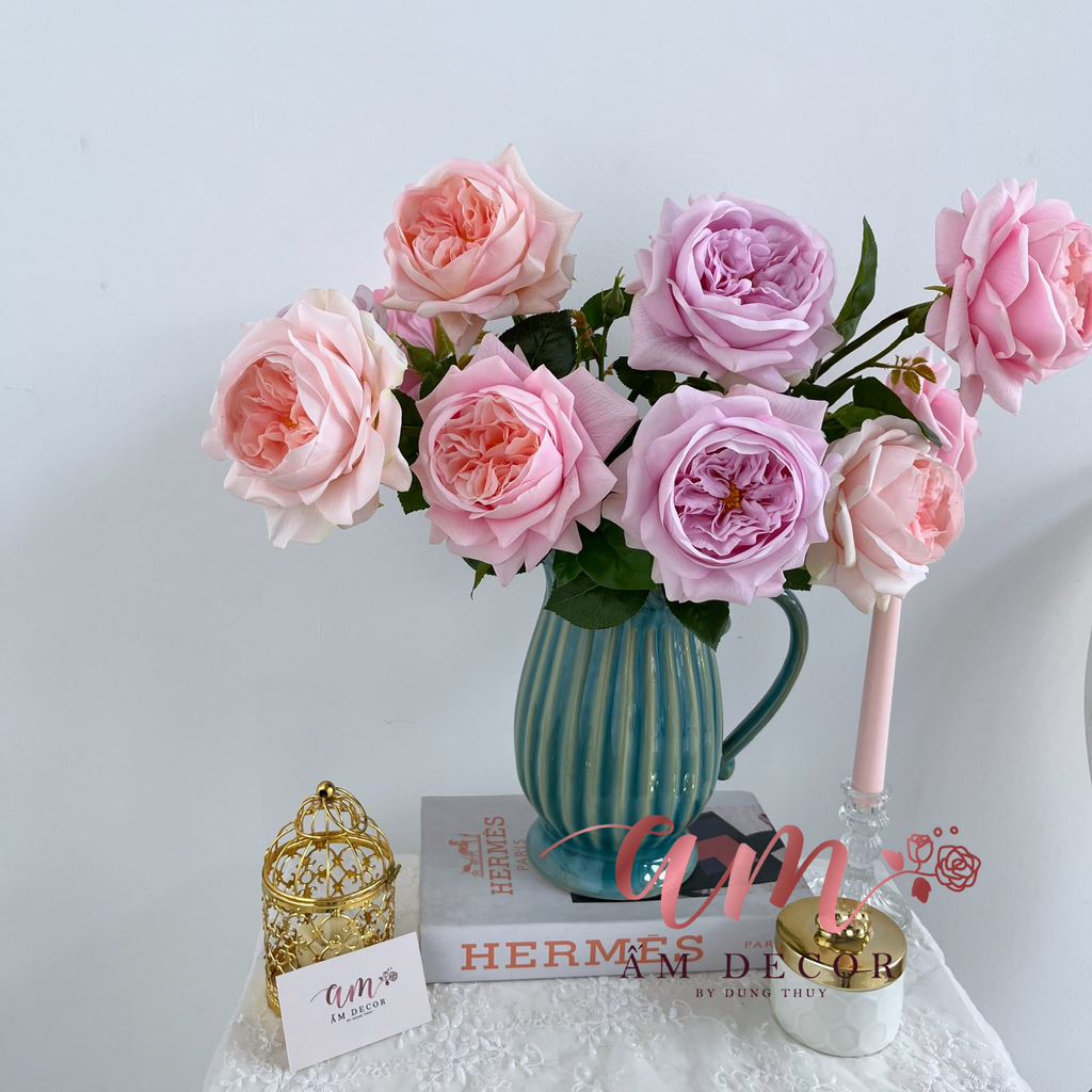 ZBÌNH HOA ROSELLA AUSTIN RETRO