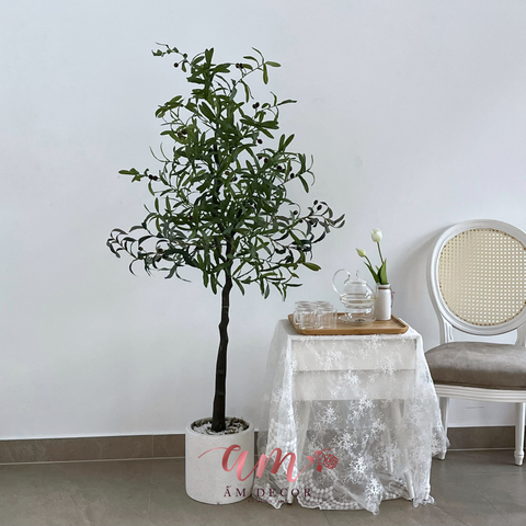  ẤM PLANT HOUSE - CHẬU CÂY OLIVE 