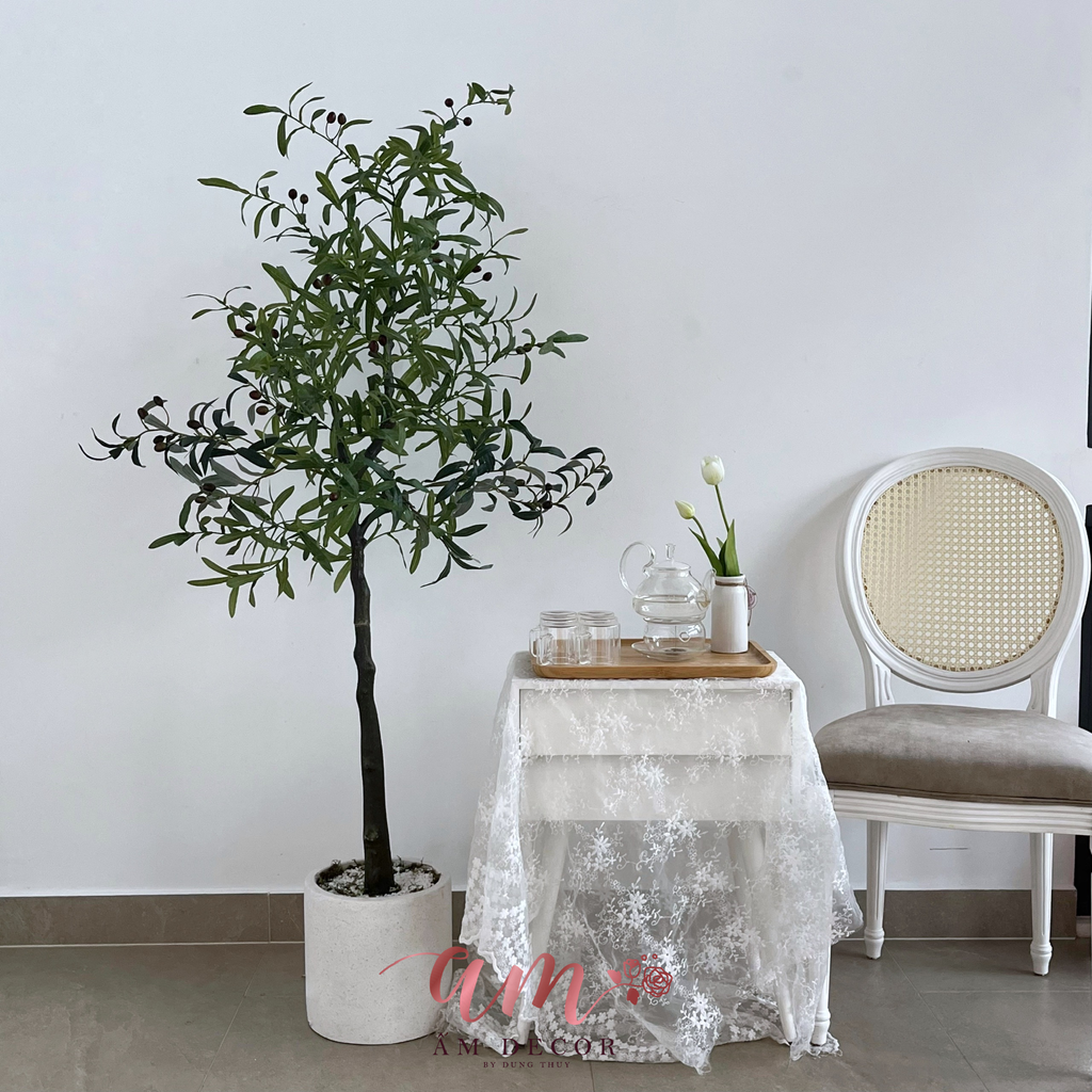 ẤM PLANT HOUSE - CHẬU CÂY OLIVE