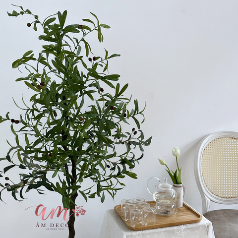  ẤM PLANT HOUSE - CHẬU CÂY OLIVE 