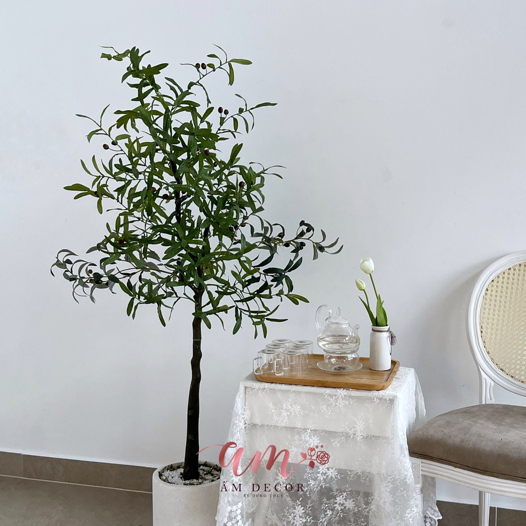 ẤM PLANT HOUSE - CHẬU CÂY OLIVE