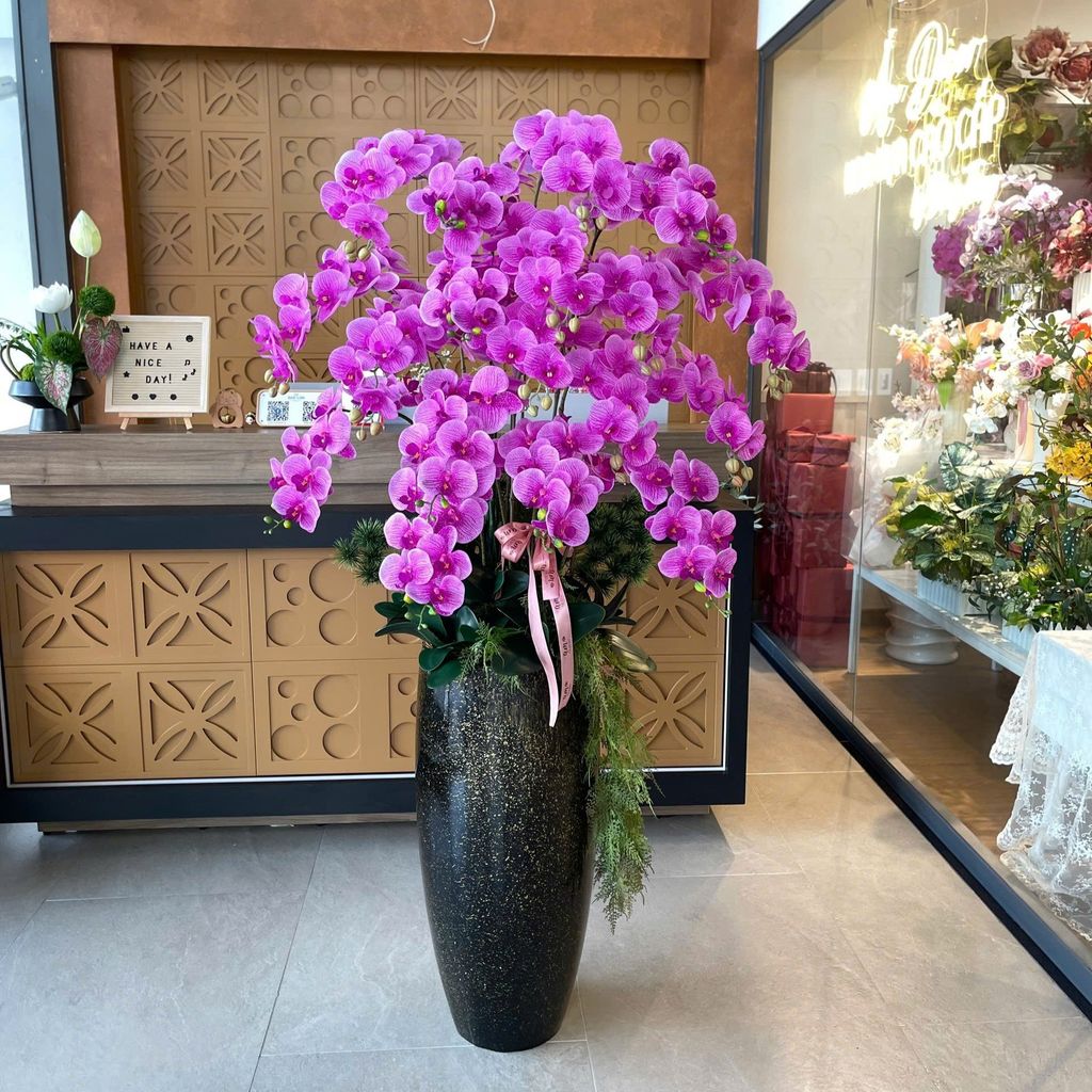 BÌNH HOA ORCHID PHALAENOPSIS PURPLE