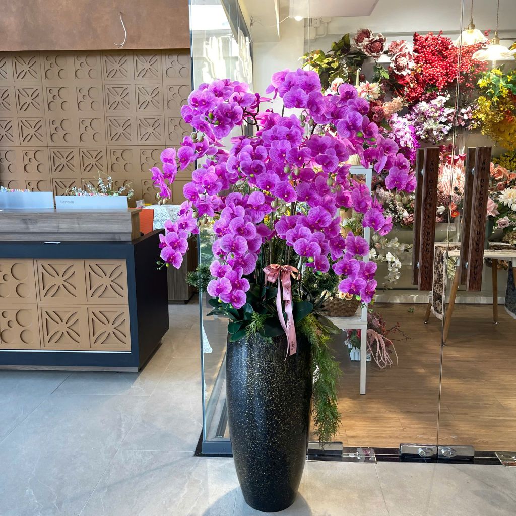 BÌNH HOA ORCHID PHALAENOPSIS PURPLE