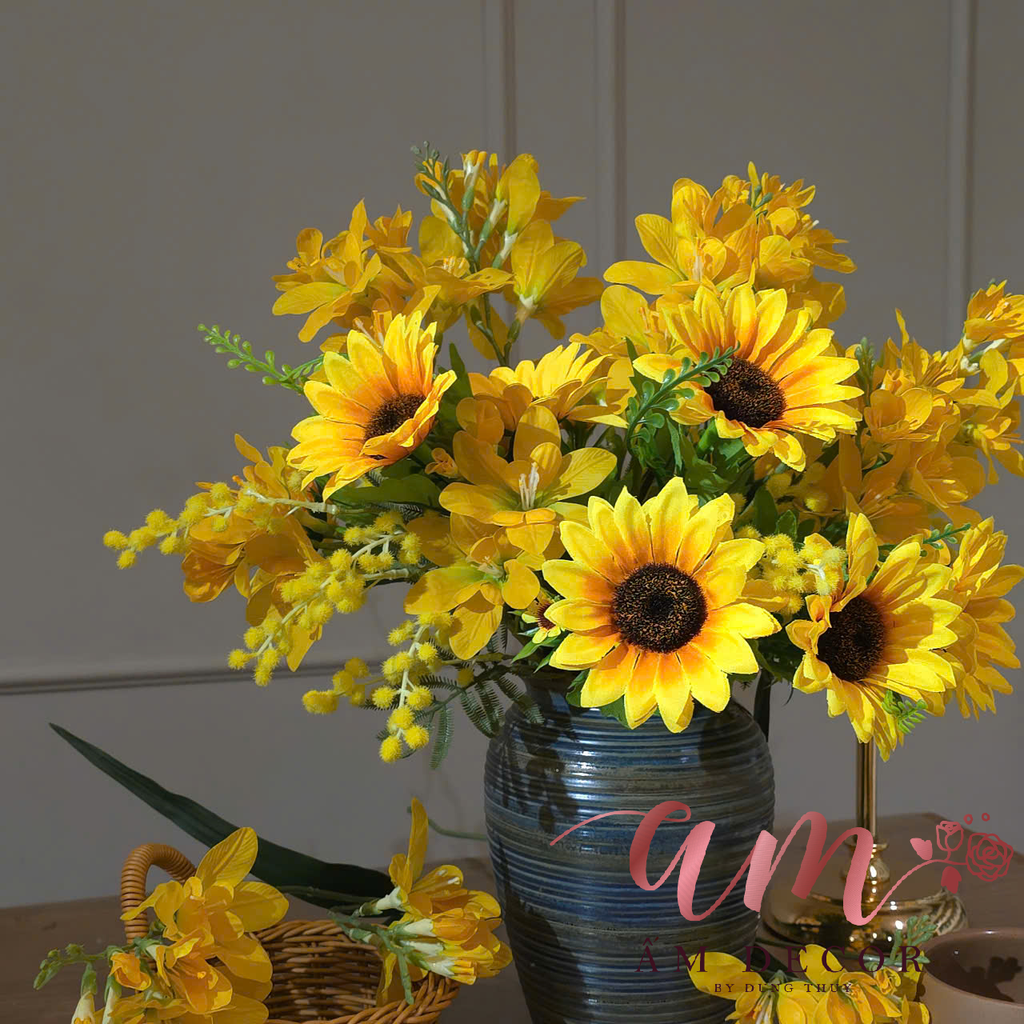 ZBÌNH HOA SHINNING STAR