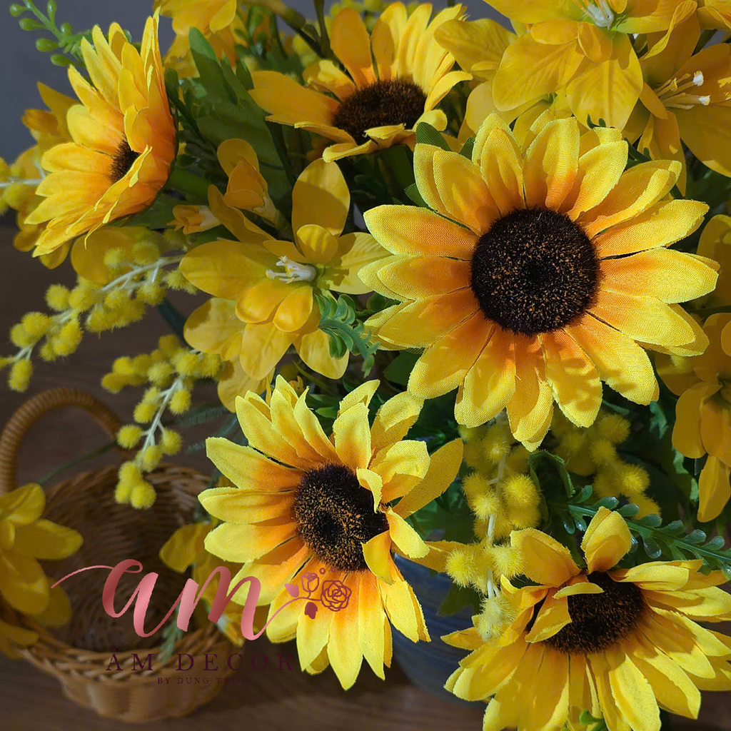 ZBÌNH HOA SHINNING STAR