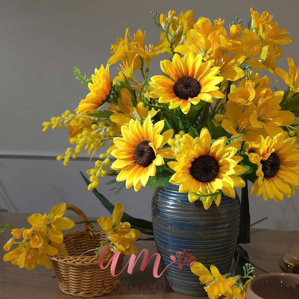 ZBÌNH HOA SHINNING STAR