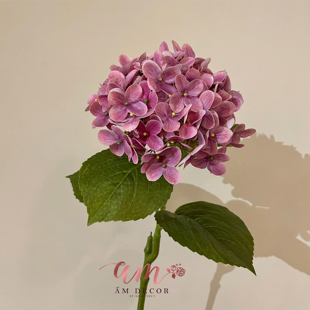 CẨM TÚ CẦU PHÁP (HỒNG)