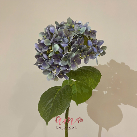  CẨM TÚ CẦU PHÁP (TÍM) 