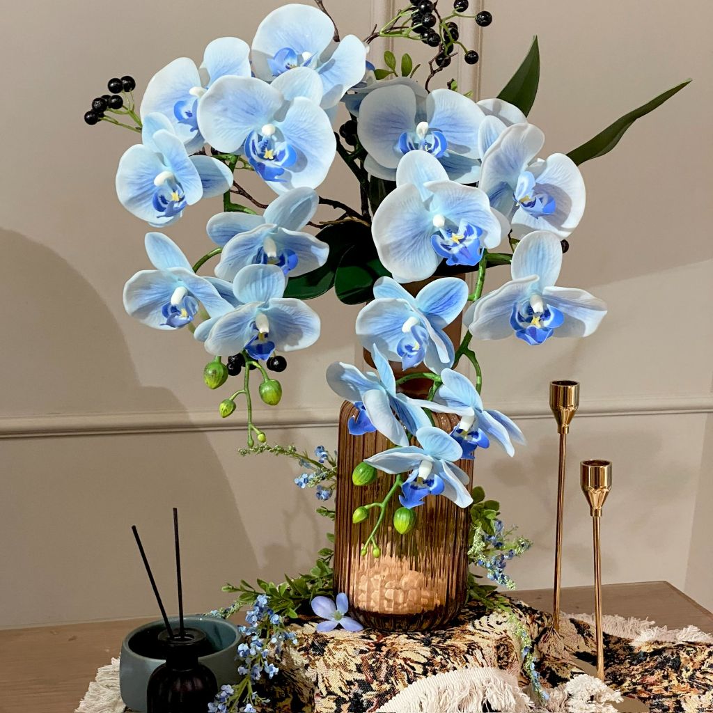 ZBÌNH HOA MOON OCEAN ORCHID