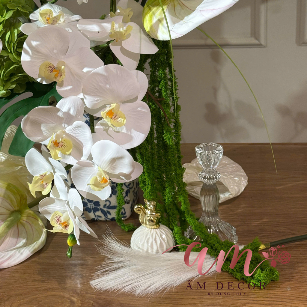 ZBÌNH HOA ELEGANT MOONLIGHT