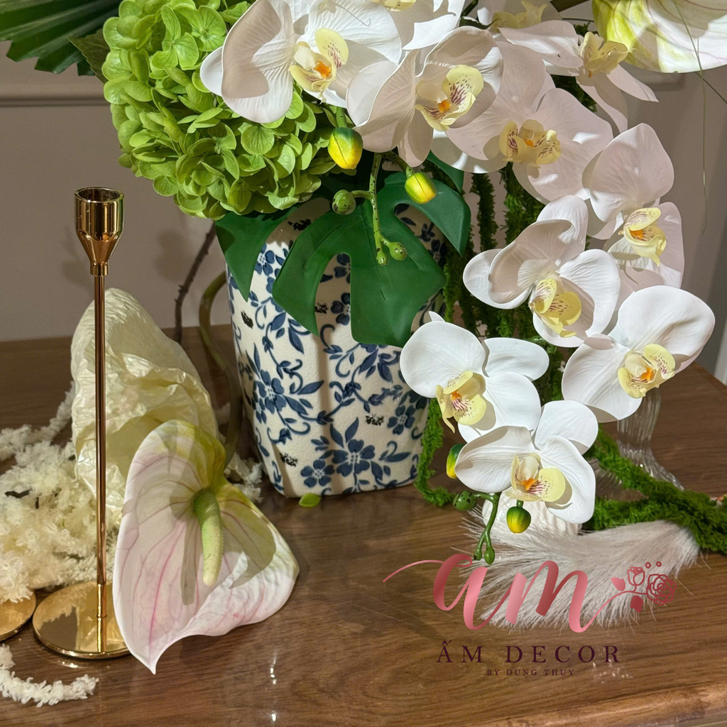 ZBÌNH HOA ELEGANT MOONLIGHT