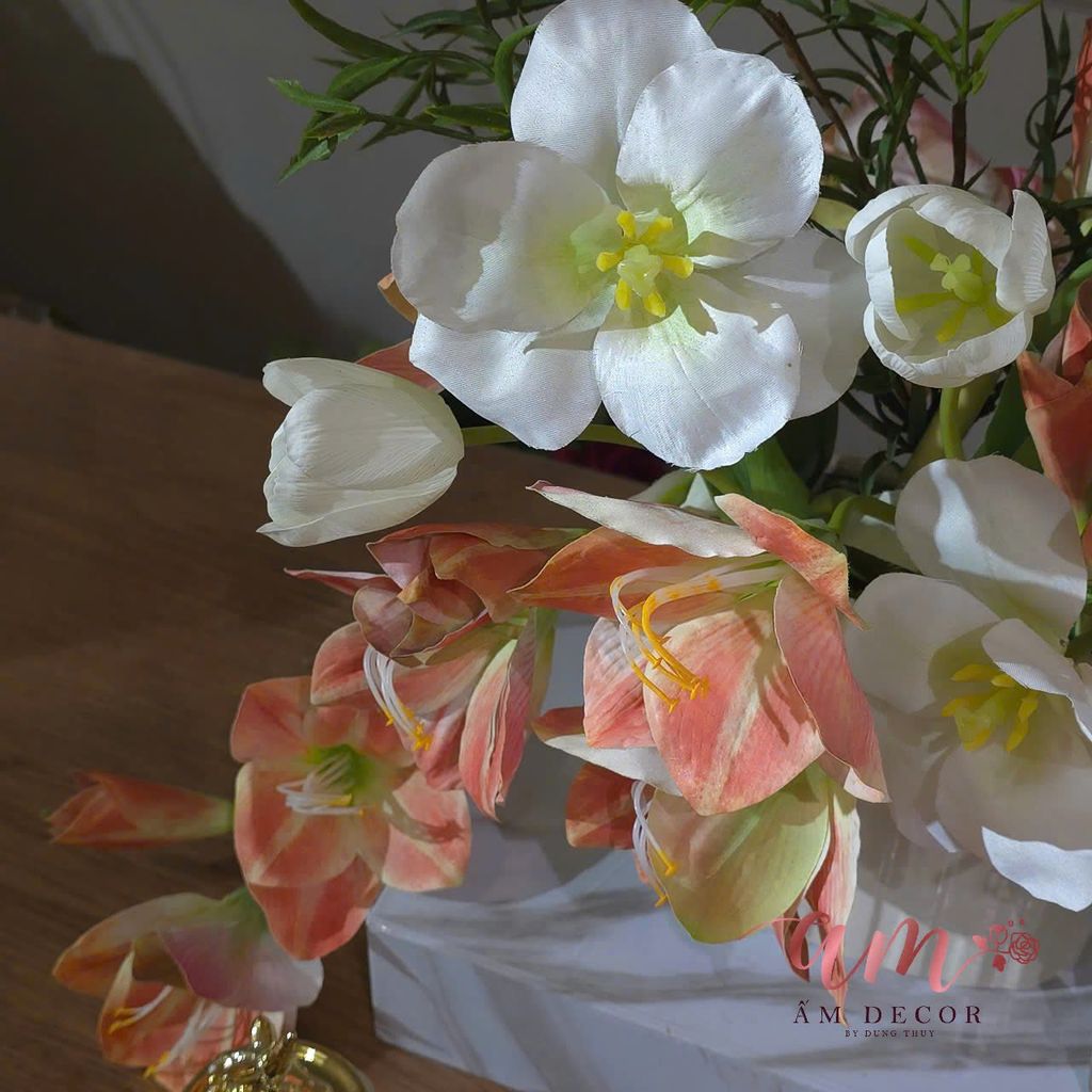 ZBÌNH HOA AMARYLLIS FLORA