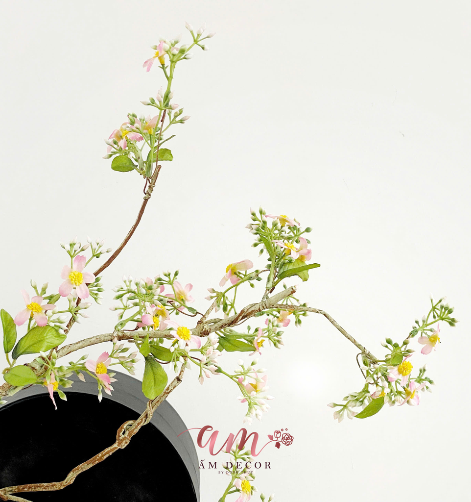 BÌNH HOA BLOSSOM APPLE