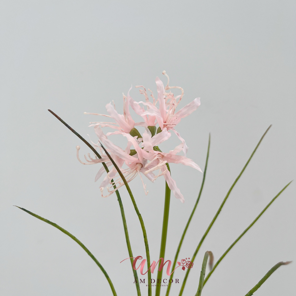 ZBỈ NGẠN HOA (HỒNG)