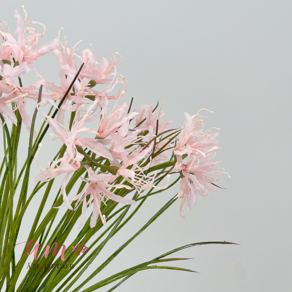 ZBỈ NGẠN HOA (HỒNG)