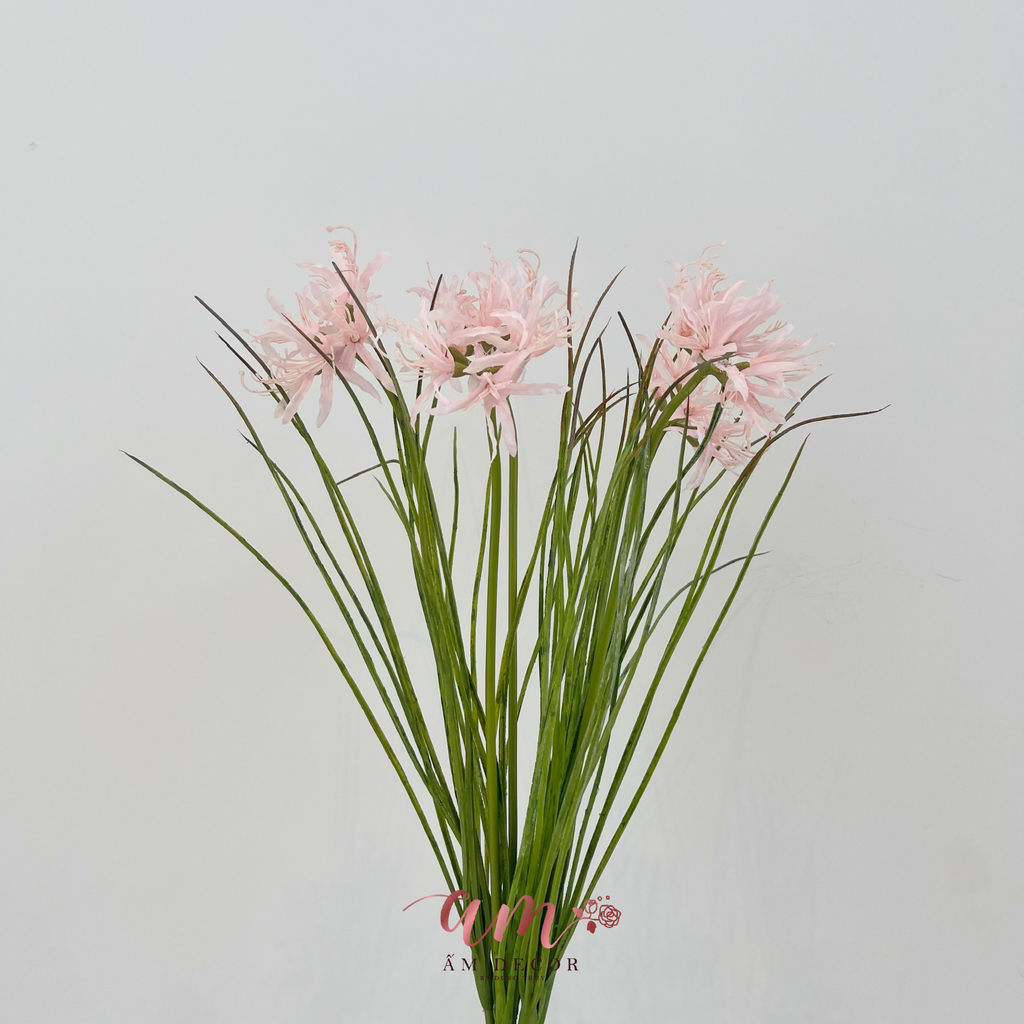 ZBỈ NGẠN HOA (HỒNG)