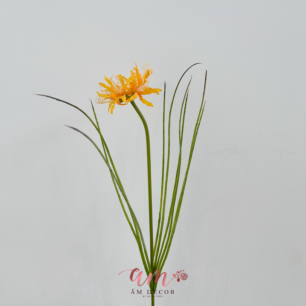 BỈ NGẠN HOA (CAM)