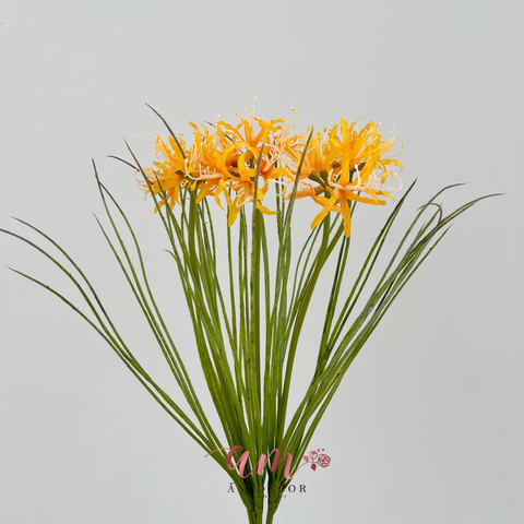  BỈ NGẠN HOA (CAM) 