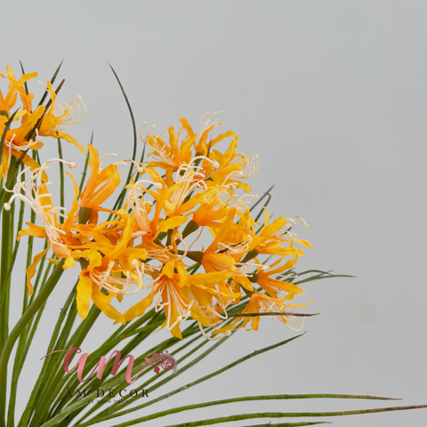  BỈ NGẠN HOA (CAM) 