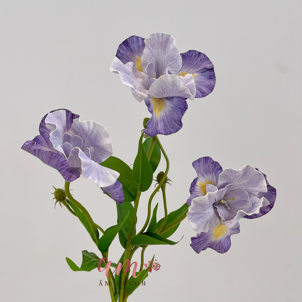 HOA DIÊN VĨ (TÍM NHẠT)