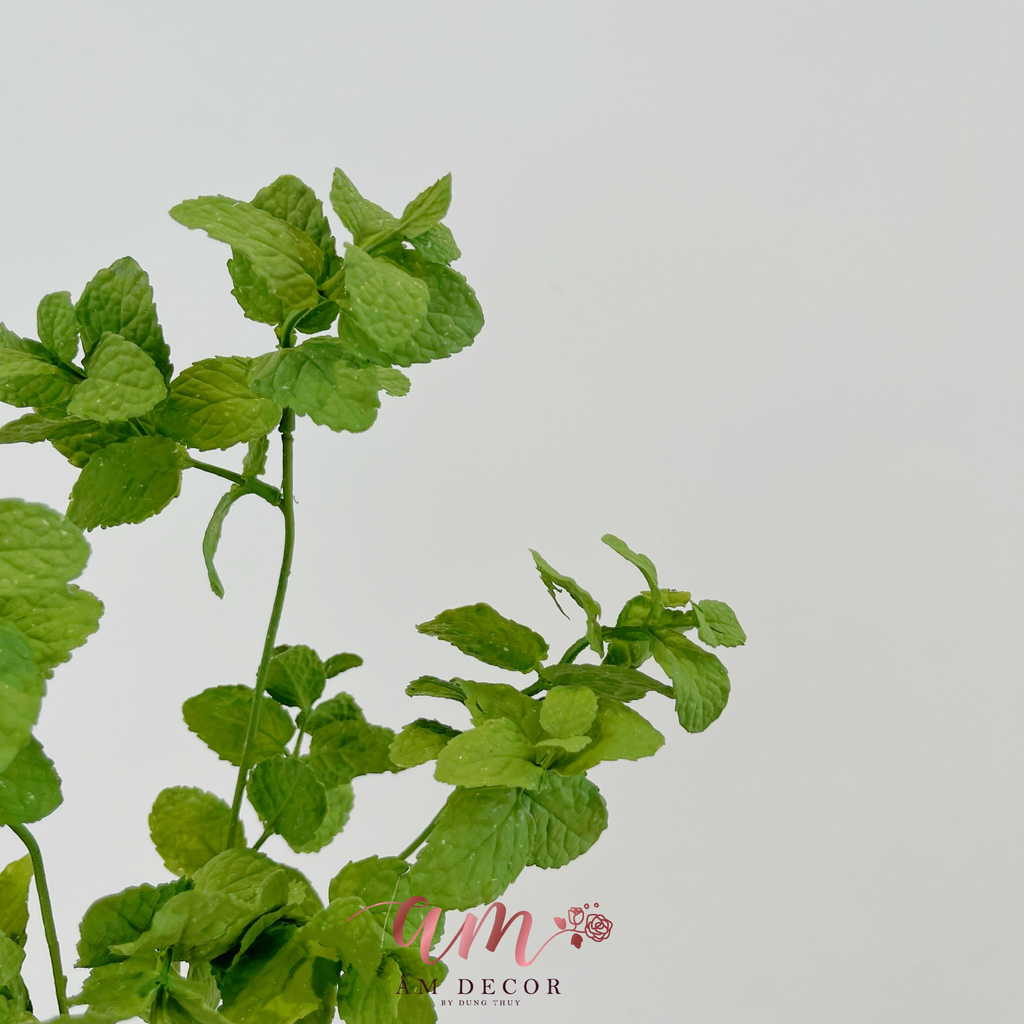 LÁ BẠC HÀ