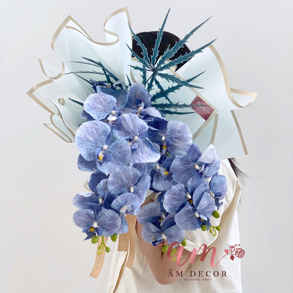 ATLANYICS ORCHID