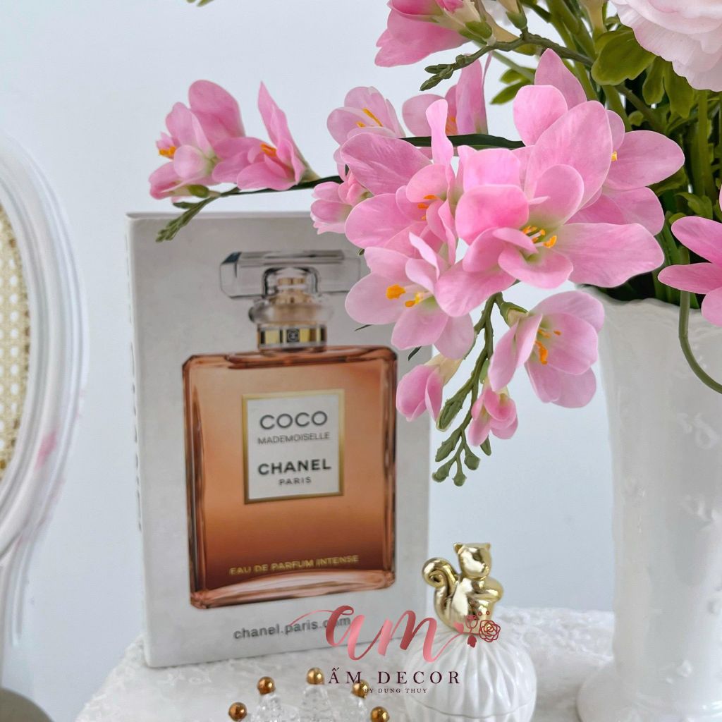 ZBÌNH HOA FREE-SIA ORCHID PERSIAN