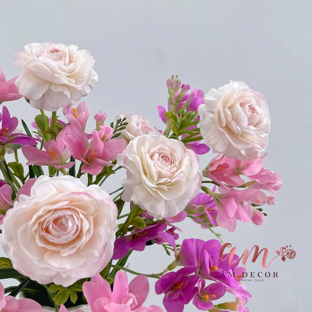 ZBÌNH HOA FREE-SIA ORCHID PERSIAN