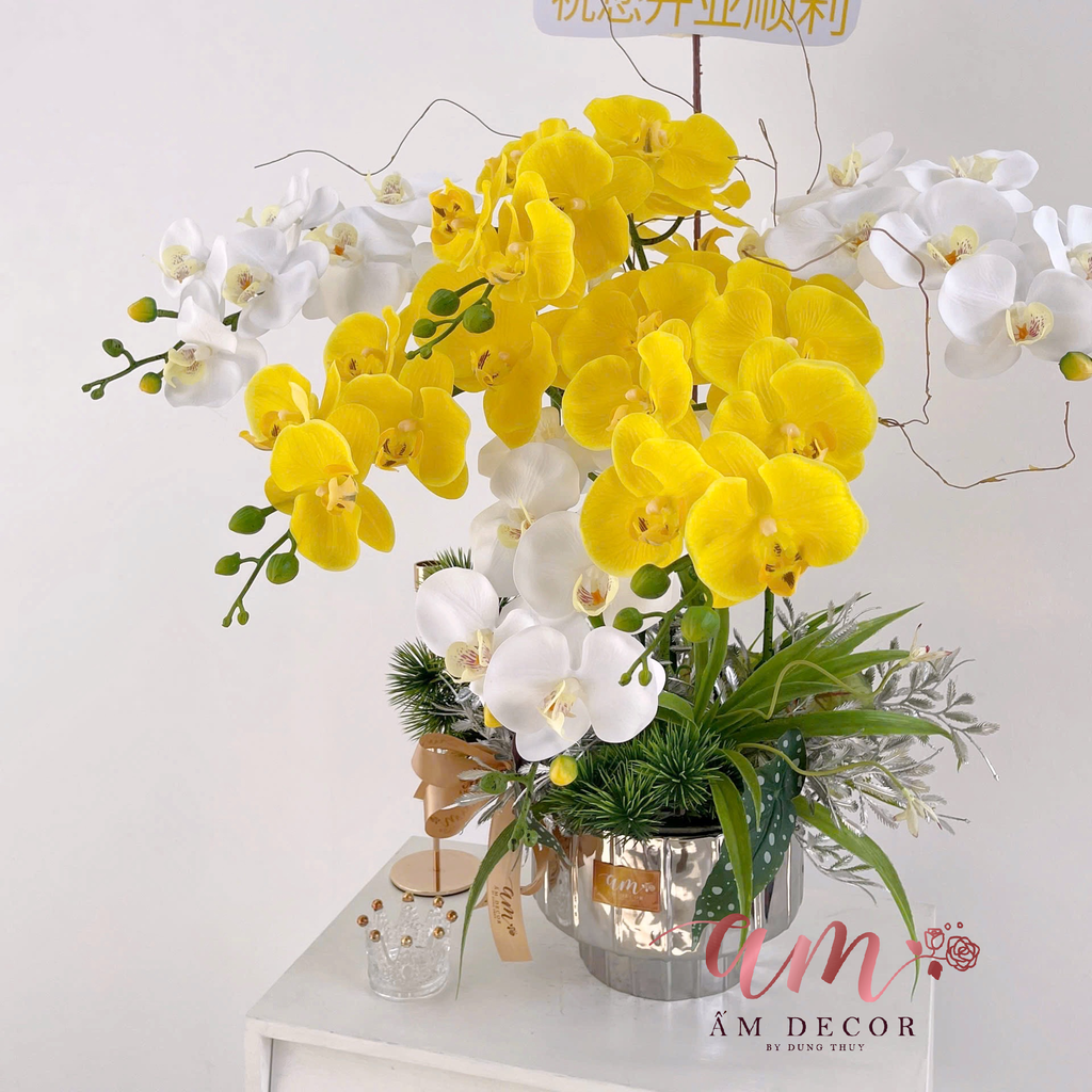 BÌNH HOA ORCHID AMBERVEIL