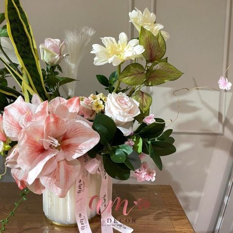  BÌNH HOA ALADIES AMARYLLIS 