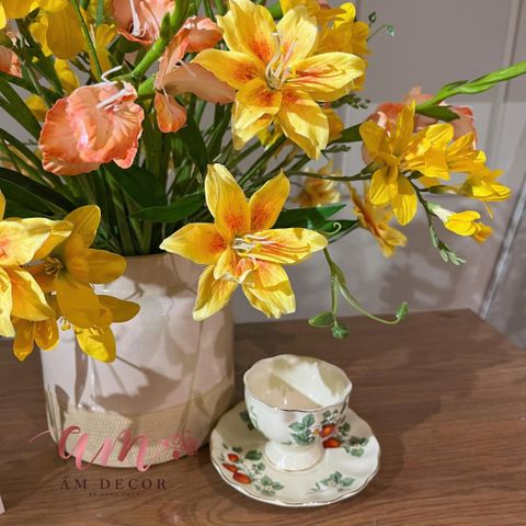  BÌNH HOA AFLUER DELIS ORAN 