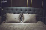 Giường BED03 1,8m x 2,0m bọc vải nỉ Indo