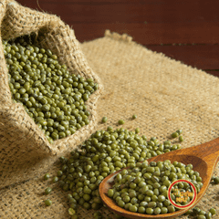 Đậu Xanh Nguyên Hạt (500g)