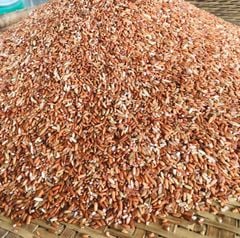 Gạo Lứt Đỏ Điện Biên, 6 Tháng (1Kg)