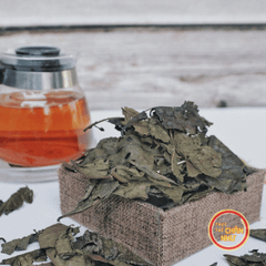 Trà Bancha San Tuyết (100g)