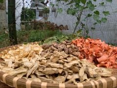 Canh Dưỡng Sinh Khô 40g (đặt 10t tặng 1t)