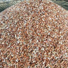 Gạo Lứt Đỏ Điện Biên, 6 Tháng (1Kg)