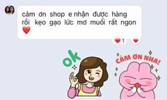 Kẹo Gạo Lứt Mơ Muối (200gr-500gr)