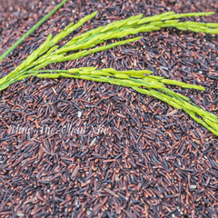 Gạo Lứt Đen 6 Tháng (Lứt Tím) (1Kg)