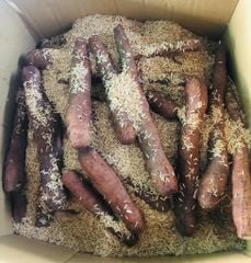 Củ Hoài Sơn Hữu Cơ - Bầu Mây (1kg)