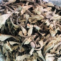 Nấm Dược Liệu Lộc Nhung (100gr-250gr)
