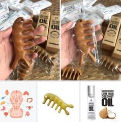 Combo Lược Matxa Gỗ Bách Xanh và Dầu Dừa Lăn (1 set)
