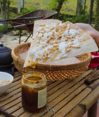 Mạch Nha Nguyên Chất Nhân Thuỳ (200ml)