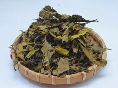 Trà Cổ Thụ Shan Tuyết Quy Nguyên 100g