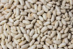 Đậu Trắng Tự Nhiên (500g)