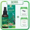 XỊT MỌC TÓC KOKO COCAYHOALA - NGĂN RỤNG TÓC - KÍCH THÍCH MỌC TÓC - GIÚP TÓC MỀM MƯỢT - 100ML