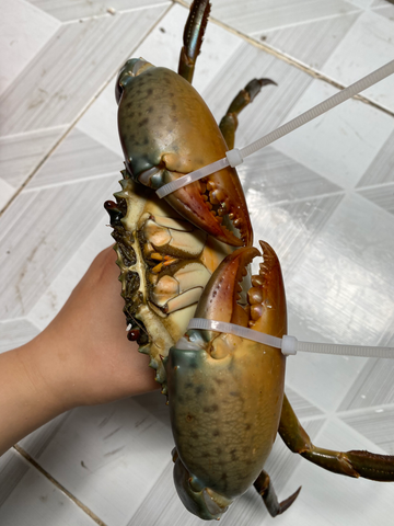 Sản phẩm nổi bật