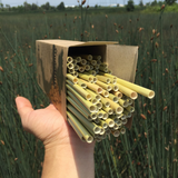 Ống Hút Cỏ Bàng Hộp Size 20